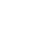 Automatic Two-Speed Transmission